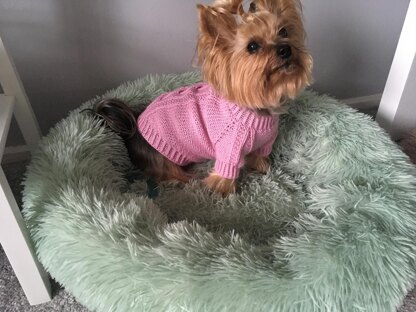 Pink Dog Sweater