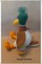 Duckie Easter Duck