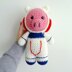 Amy the Astronaut Pig