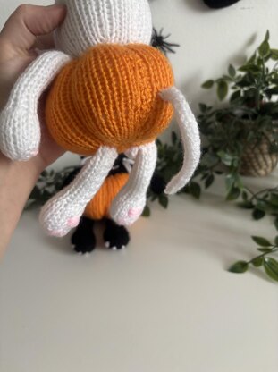 Pumpkin kitty