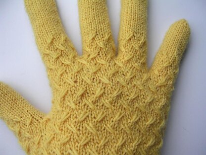 Birnam Gloves and Fingerless Mitts