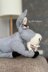 Donkey knitting pattern. Knitted donkey friend Shrek