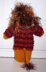 Child's Snazzy Sweater & Toy Lion Set