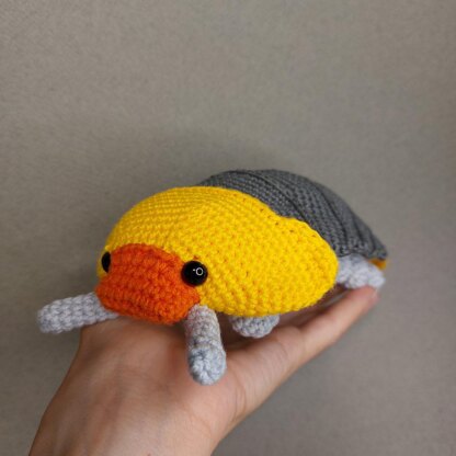 Rubber Ducky Isopod