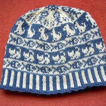 Cat ate fish beanie - knitting pattern