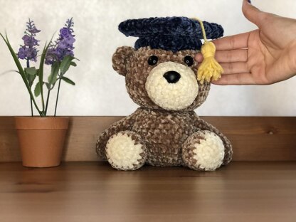 Graduation Teddy Bear