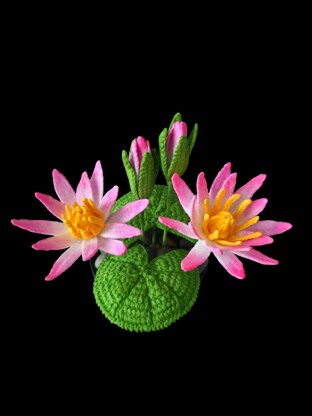 Crochet Water lily flowers pattern