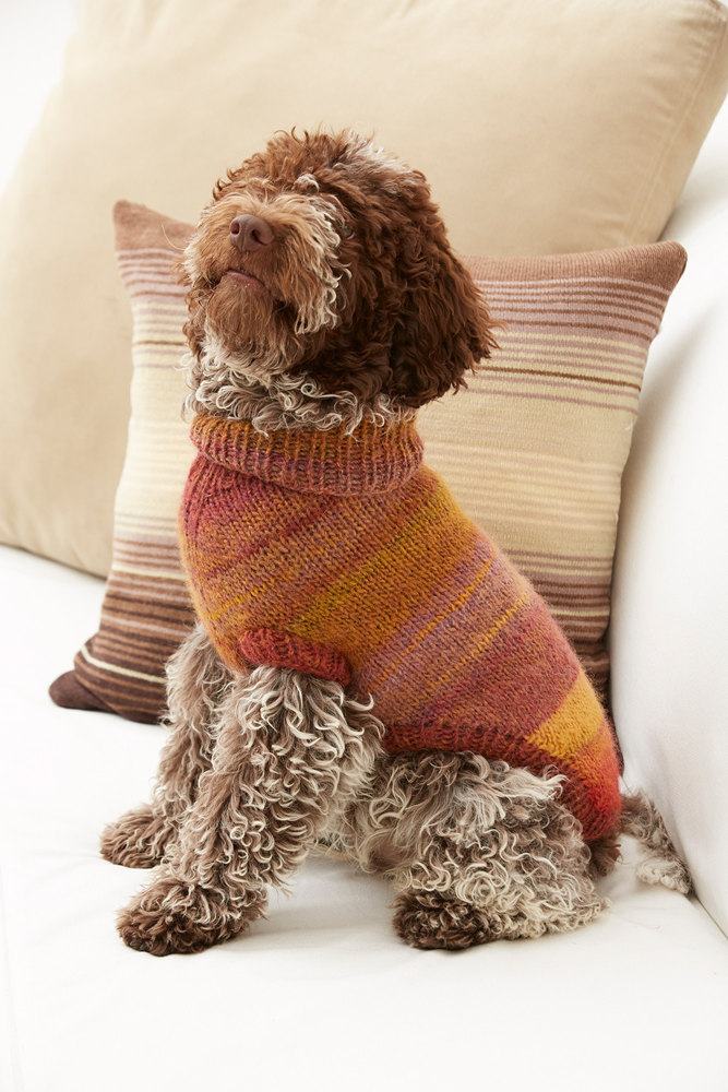 Lion brand dog sweater sale pattern