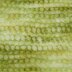 Dark Greens (112)