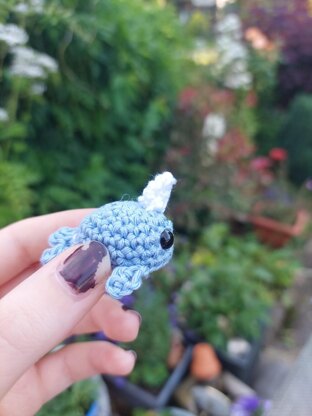 Small narwhal