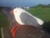 Giant toy seagull