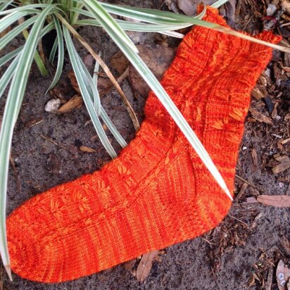 Cactus Flower Toe Up Sock