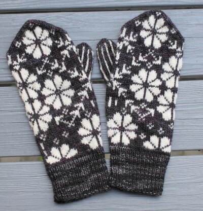 Phlox Mittens