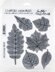Stampers Anonymous Tim Holtz Cling Stamps 7"X8.5" - Pressed Foliage