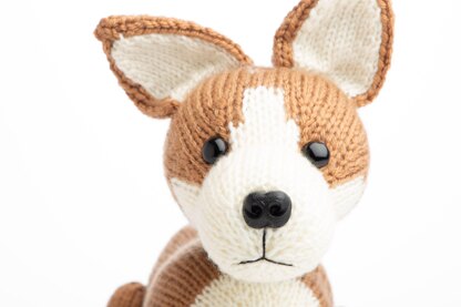 Deramores Pembroke Welsh Corgi PDF