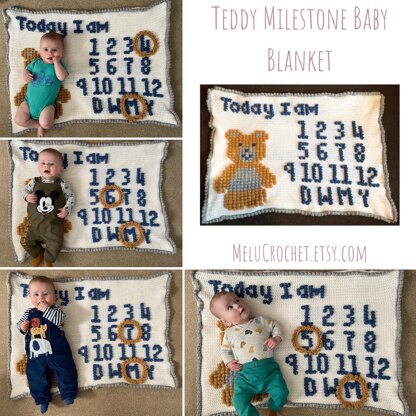 Teddy Milestone Blanket