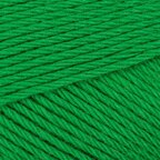 Curled Fern (232)