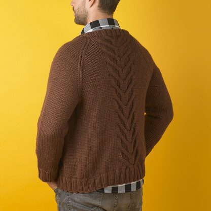 Stormy Staghorn Cardigan - Free Knitting Pattern For Men in Paintbox Yarns Wool Mix Aran