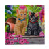 Crystal Art Cat Friends, 18x18cm Card Diamond Painting Kit