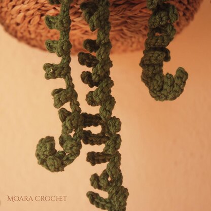 Crochet Fern