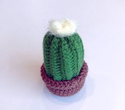 Cactus in a pot crochet , Cactus Amigurumi,
