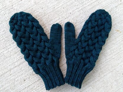 Dark Potions Mittens