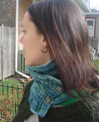 Nest Egg Cowl