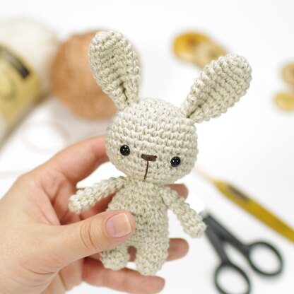 Eleanor the Tiny Bunny