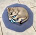 Easy Doughnut-Shaped Pet Bed