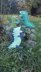 Mr Dinosaur