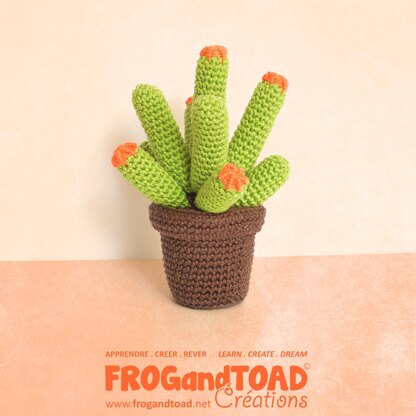 Cactus Collection - Desktop Plants Flower Decoration - Amigurumi Crochet - FROGandTOAD Créations
