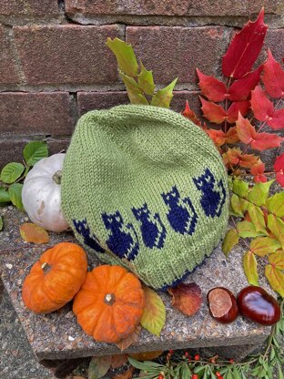 Halloween Cat and Pumpkin Hats