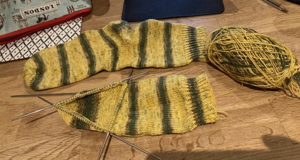 Pineapple Socks #5