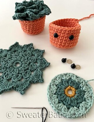 #358 Succulent Coaster Set