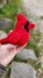 Cardinal Bird with Santa Hat