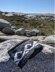 Le Col vague de Peggy’s Cove (FR)