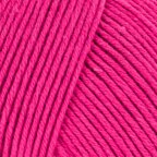 Raspberry (0064)