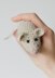 Little mouse toy