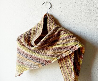 Beginner Shawl