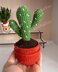 Cactus 2 in a pot