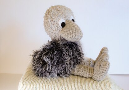 Oscar the Ostrich Chick