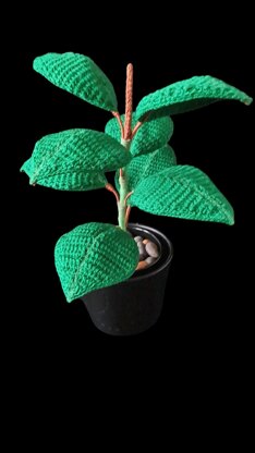 Crochet Rubber plant/Fig leaf