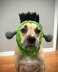 Frankenstein Dog Snood