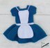 Alice in Wonderland Dress Set