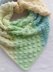 Knotty And Nice Shawl
