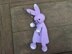 Rabbit Security Blanket