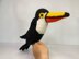 Terri the Toucan