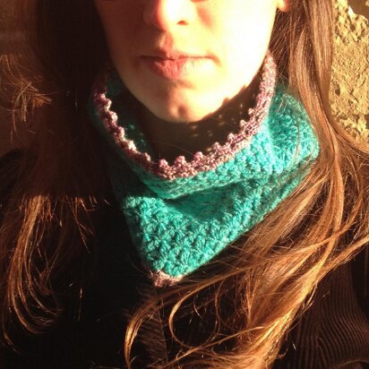 Wilderness Flowers Crochet Cowl