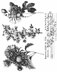 Stampers Anonymous Tim Holtz Cling Stamps 7"X8.5" - Flower Shop