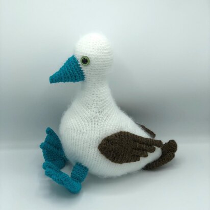 Bobby the Blue-footed Booby